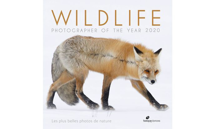 Wildlife Photographer of the Year 2020