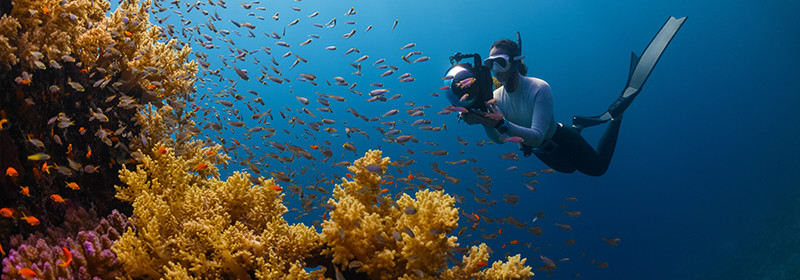 Quel appareil photo pour la plongée sous-marine en 2023 ?