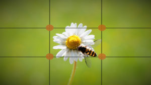 Règle des tiers macro