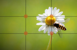 règle des tiers macro