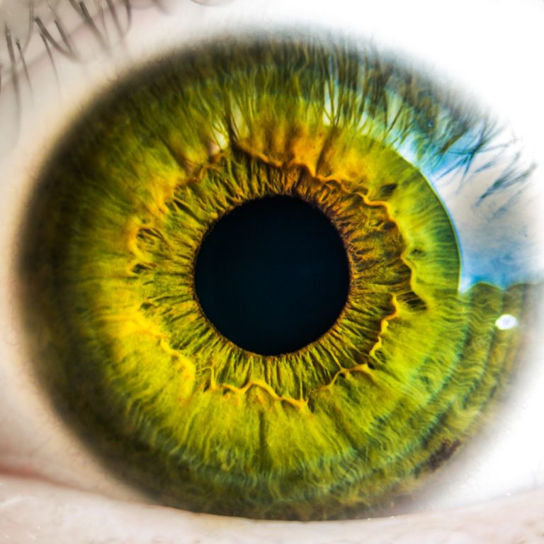 Comment Photographier Un Oeil En Macro Apprendre La Photo