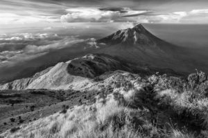 paysage noir et blanc