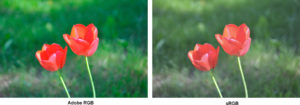 srgb ou adobe rgb