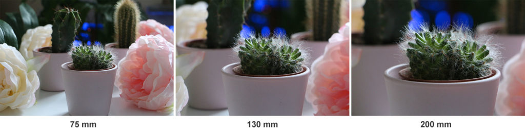 Comprendre, calculer et maîtriser la profondeur de champ en photo ...