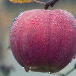 Réaliser une sélection avec l&rsquo;outil plume de photoshop