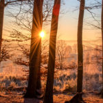 Comment facilement réaliser un effet starburst en photo ?