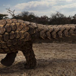 Découvrez les gagnants des Sony World Photography Awards 2020