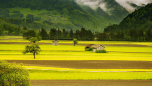 ligne horizontale composition photo