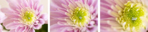 Sigma 105 mm f/2.8 DG DN Macro Art