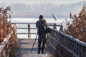 photographier les oiseaux en vol