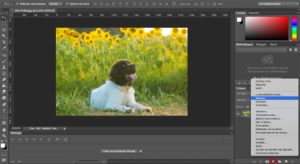 balance des blancs Photoshop