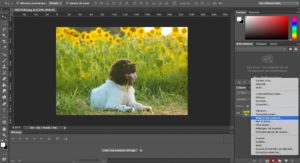 balance des blancs Photoshop