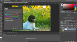 balance des blancs Photoshop