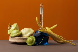 photographier nature morte