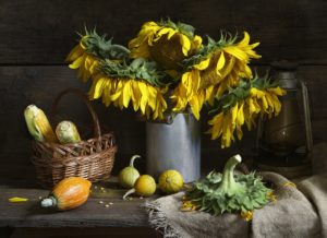 photographier nature morte