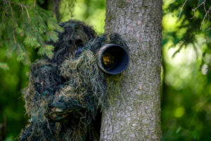 camouflage photo animalière