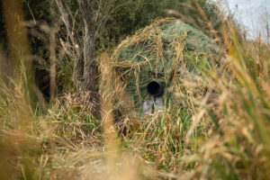 camouflage photo animalière