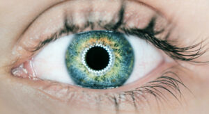 photographier son iris