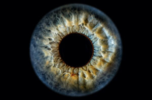 photographier son iris