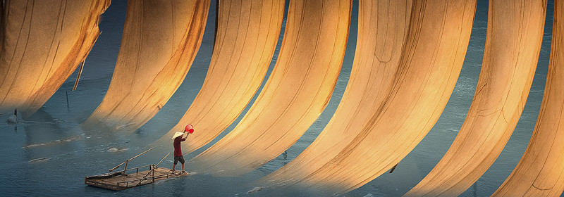 Ocean Photographer of the Year