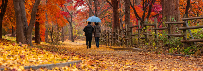 filtre polarisant automne