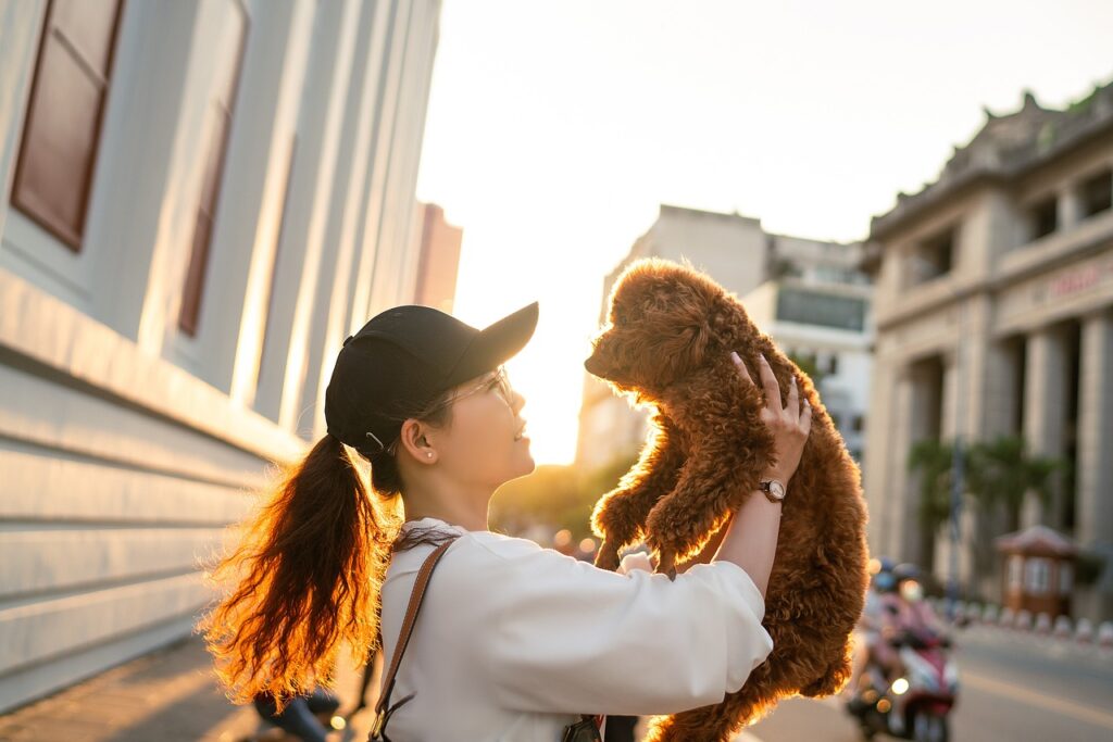 Nos Techniques Pour Photographier En Contre jour Sans Perdre De D tails Nos Techniques Pour Photographier En Contre jour Sans Perdre De D tails