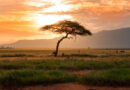 erreur photo de paysage