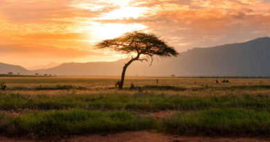 erreur photo de paysage