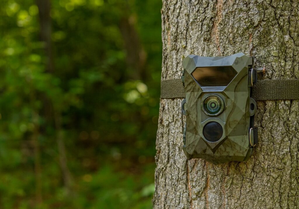 Meilleur piège photographique