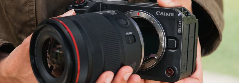Canon EOS R6 V