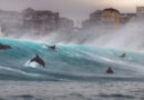 Ocean Photographer of the Year 2026