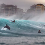 Ocean Photographer of the Year 2026 : découvrez les plus belles photos sous-marines de l’année