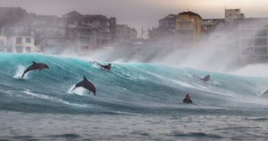 Ocean Photographer of the Year 2026
