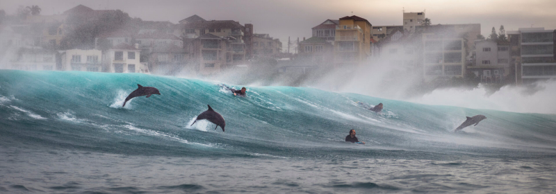 Ocean Photographer of the Year 2026
