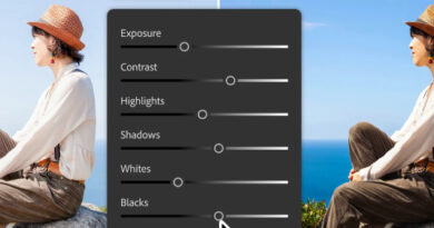Adobe Camera Raw 18.6